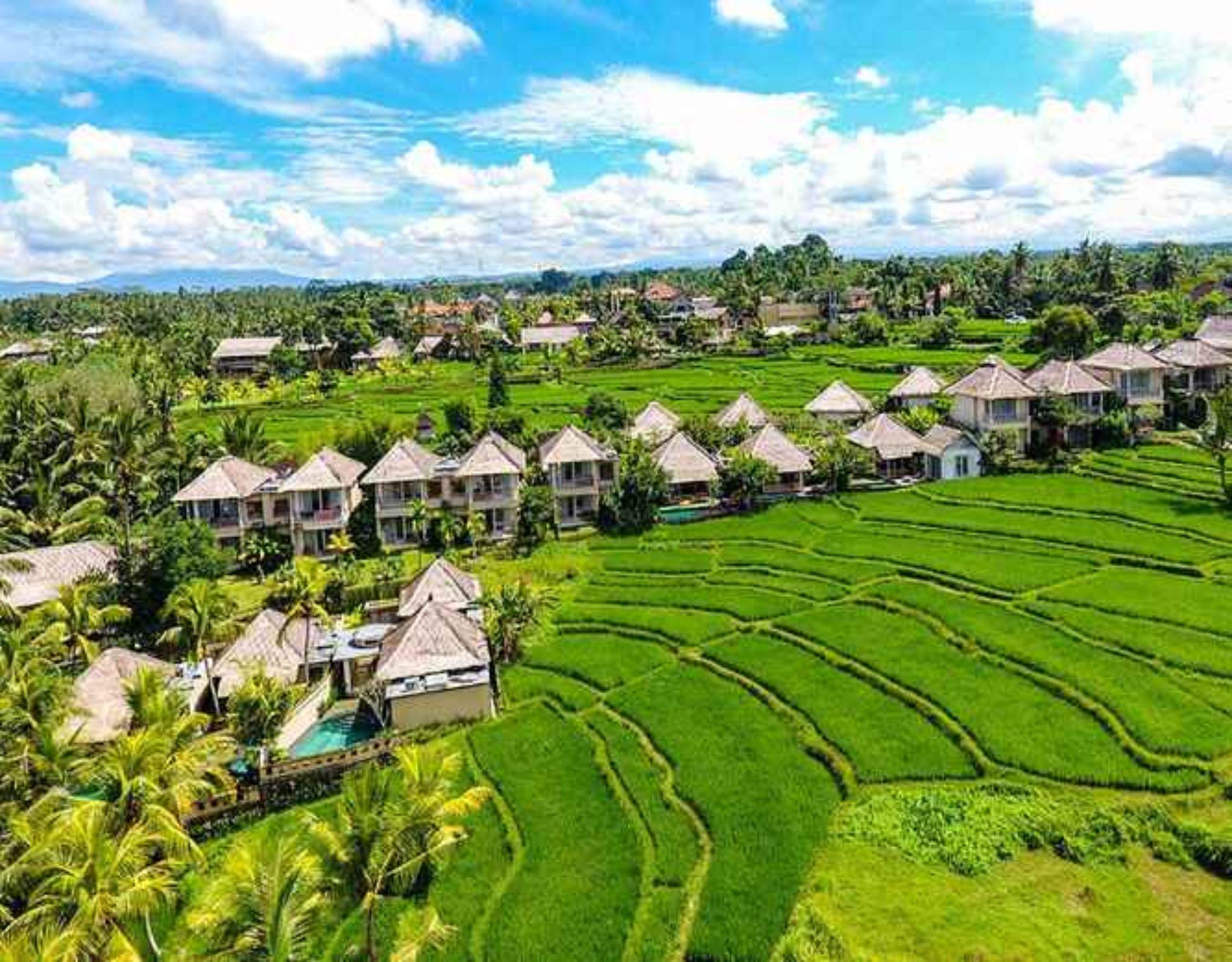 Mesari Hotel Ubud Exterior foto