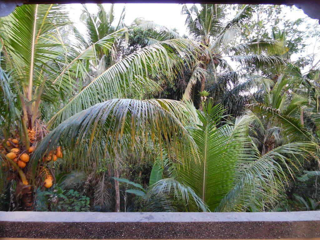 Mesari Hotel Ubud Exterior foto